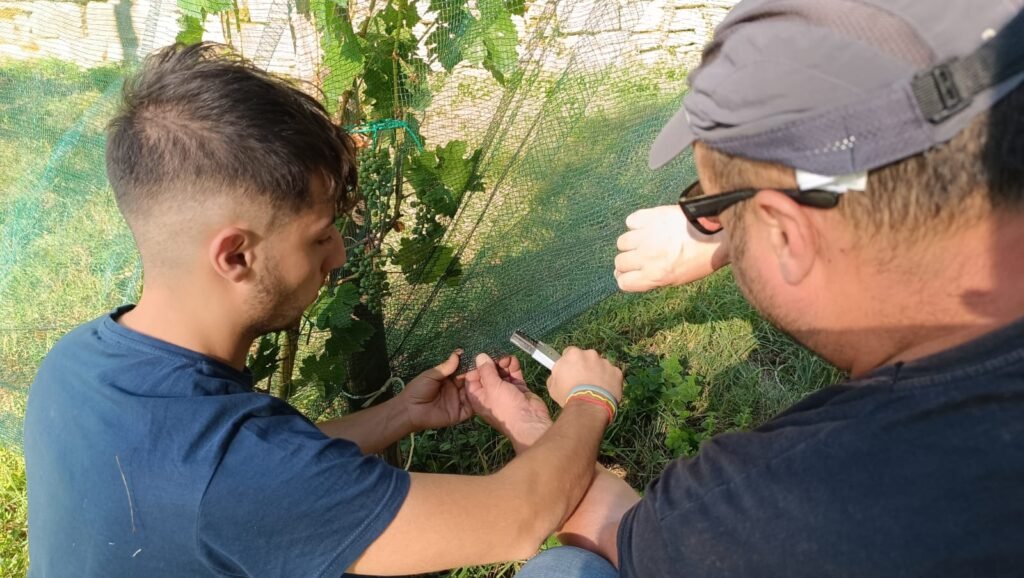 Volontari di Servizio Civile Universale per l’Ambiente a Guardiaregia (CB)